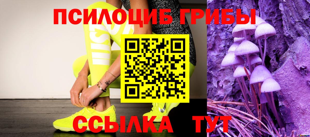 Галлюциногенные грибы GOLDEN TEACHER  Псилоцибиновые грибы прущие грибы  Дмитров  Вход с VPN 